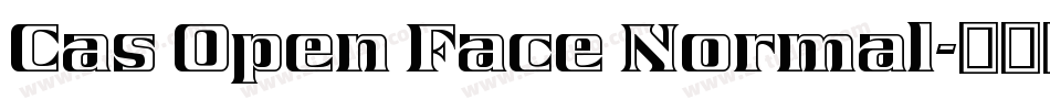 Cas Open Face Normal字体转换